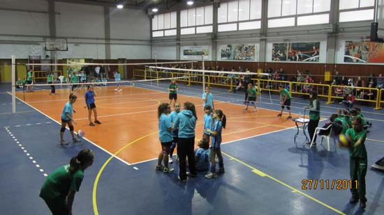 tournoua mini volley 6